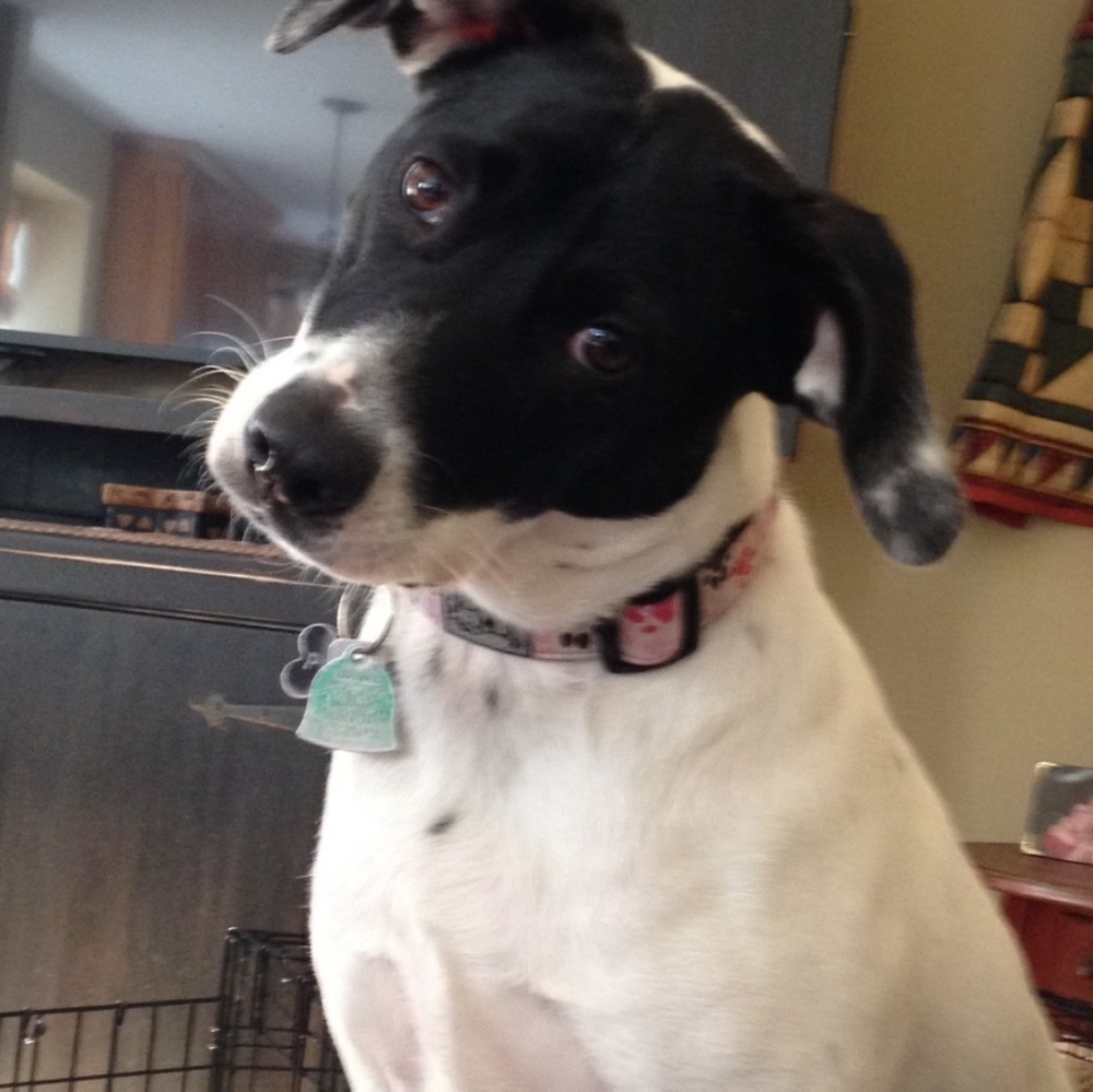 Meet your Posher, Terri